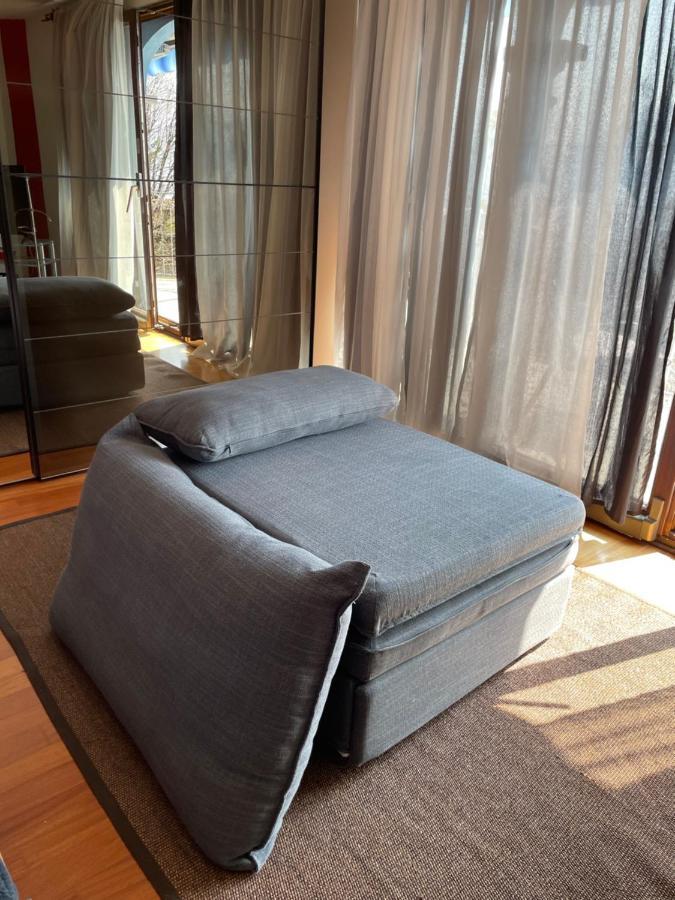 Brione sopra Minusio Casa Almaヴィラ エクステリア 写真